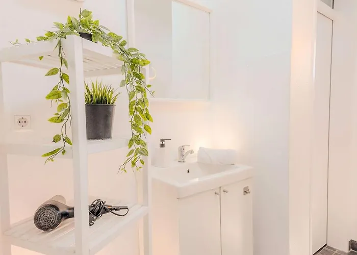 Rheinsteig 本多夫