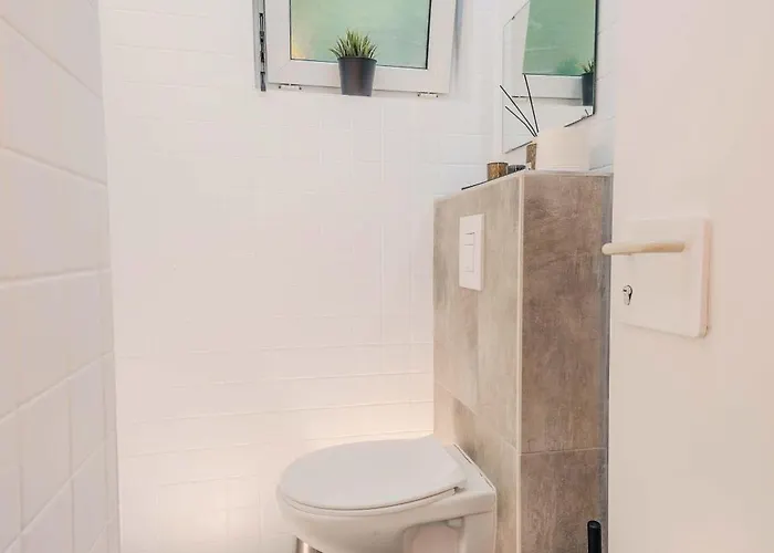 Rheinsteig 本多夫